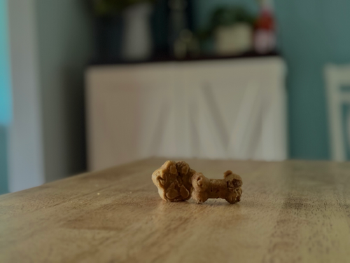 Granola Paws
