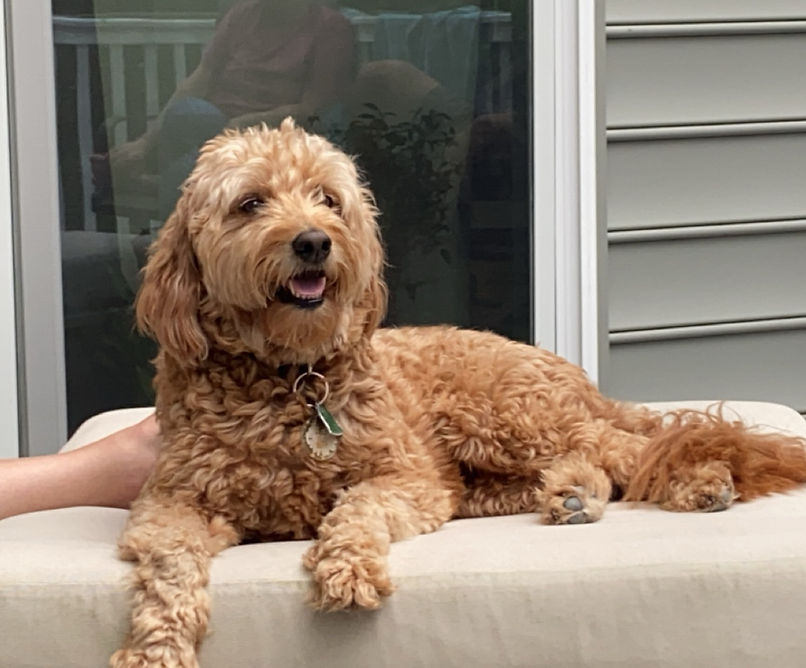 Kona